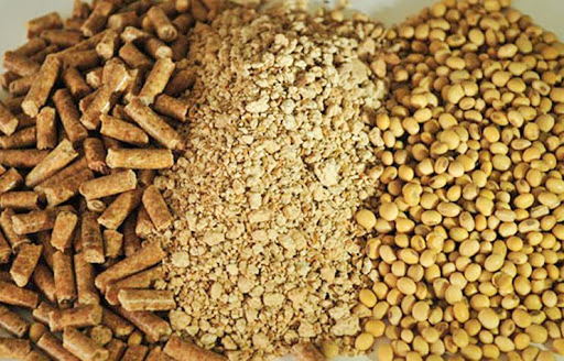 مرغ‌ها کنجاله سویا می‌خورند یا شن و پودر آجر؟ اختلاط ۲۳ درصدی کنجاله سویای توزیعی دولت با خاکستر+ اسناد