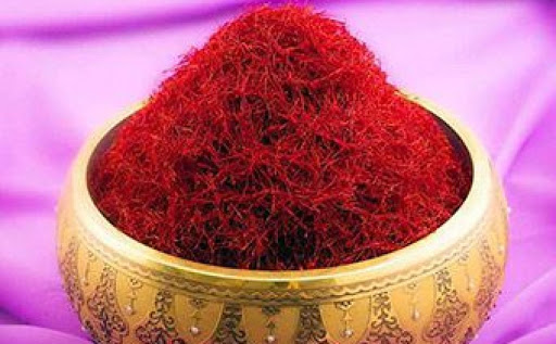 برداشت بیش از ۸۰ کیلوگرم طلای سرخ در قم