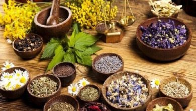 تصویر از ۴۴۸ هکتار از مزارع گیاهان دارویی قم به کشت گل‌محمدی اختصاص دارد