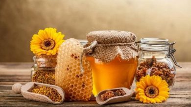 تصویر از تولید سالانه 544 تن عسل در قائم‌شهر/ ارزش اقتصادی 380 میلیاردی