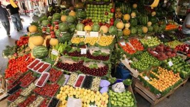 تصویر از نگرانی برای تامین میوه ایام پایانی سال در هرمزگان وجود ندارد