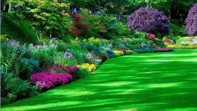 تصویر از ۱۰ تا ۲۵ درصد از اراضی غیر کشاورزی قم به فضای سبز اختصاص پیدا می‌کند