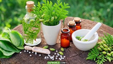 تصویر از ۷۰ هکتار از اراضی کشاورزی دره شهر زیر کشت گیاهان دارویی می رود