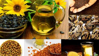 تصویر از چرا در تولید دانه های روغنی خودکفا نمی شویم؟