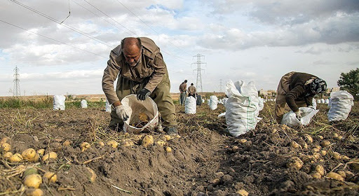 پرداخت ۷۸۵ میلیارد ریال تسهیلات به کشاورزان کردستانی پرداخت ۷۸۵ میلیارد ریال تسهیلات به کشاورزان کردستانی.