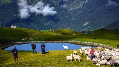 تصویر از «معجزه آبخیزداری»| سود ۲۵ برابری آبخیزداری شهری در برابر هزینه های آن