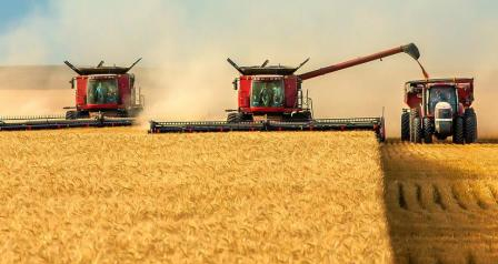 بورس کالا برای اجرای قیمت تضمینی گندم در سال آینده اعلام آمادگی کرد.