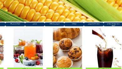 تصویر از اختصاص ارز ۴۲۰۰ به محصولات غیراستراتژیک/ ذرت دامی چگونه در صنایع تبدیلی استفاده می‌شود؟