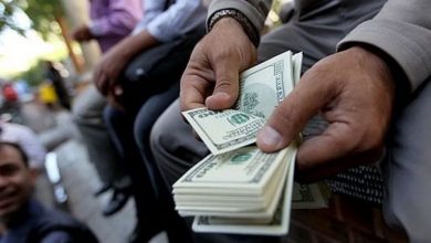 تصویر از دلالان سالانه بیش از ۴ هزار میلیارد تومان از صنعت دامداری به جیب می‌زنند
