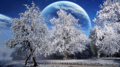 تصویر از هواشناسی ایران ۹۹/۱۰/۳۰| هشدار کاهش ۲۰ درجه‌ای دما/ برف و باران در ۱۱ استان