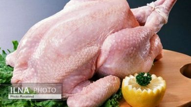 تصویر از مرغداران: نوسان قیمت مرغ نتیجه تصمیمات ستاد تنظیم بازار است