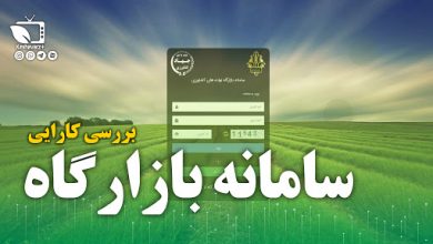 تصویر از بازارگاه دست منفعت طلبان را کوتاه کرد/تخصیص نهاده دام به انجمن‌ها تخلف است