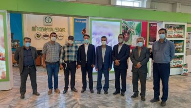 تصویر از بازدید مدیرعامل شرکت خدمات حمایتی خراسان از مجموعه نمایش دفتر شرکت کیمیا اکسیر شرق