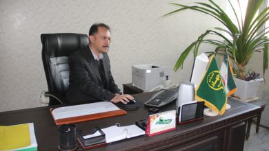 تصویر از کشت ۲۲ هزارو ۵۰۰ هکتارچغندر قند بهاره در خراسان رضوی