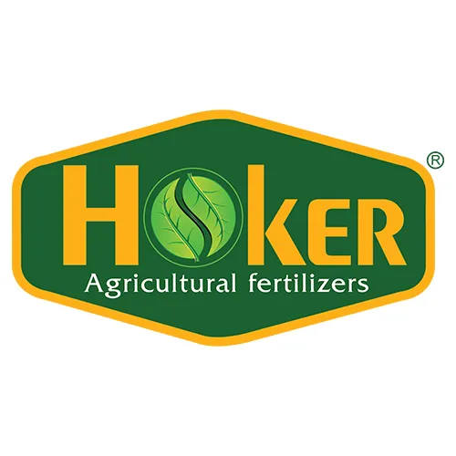 هوکر