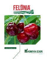 felonia