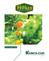 hoker