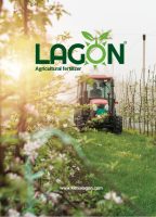 lagon